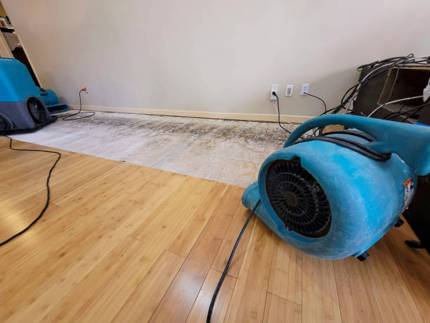 Professional Sewage Cleanup technician working in Duluth, MN